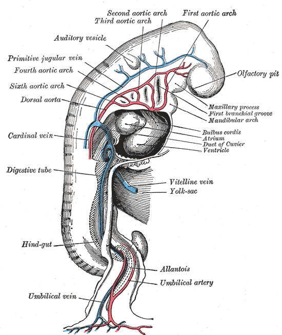 Fig. 472