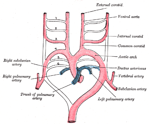 Fig. 473