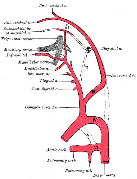 Fig. 474