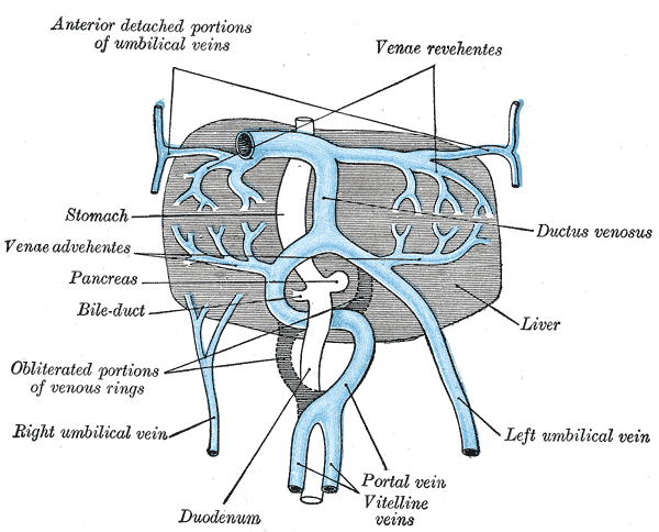 Fig. 475