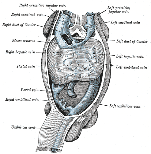 Fig. 476
