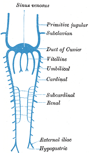 Fig. 477