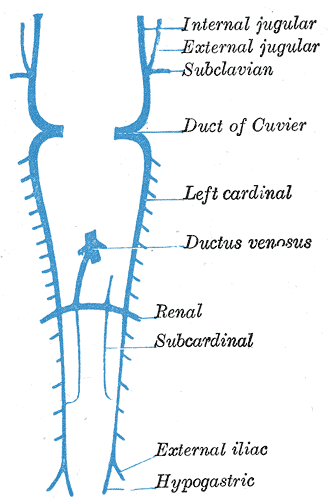 Fig. 478