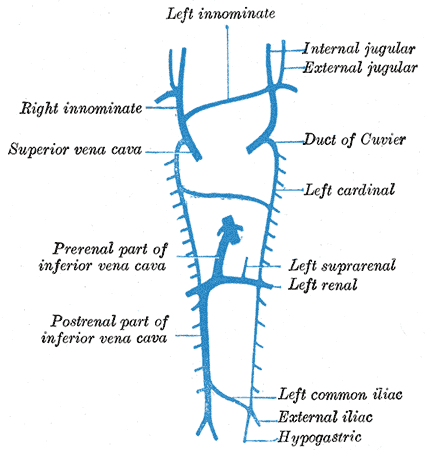Fig. 479