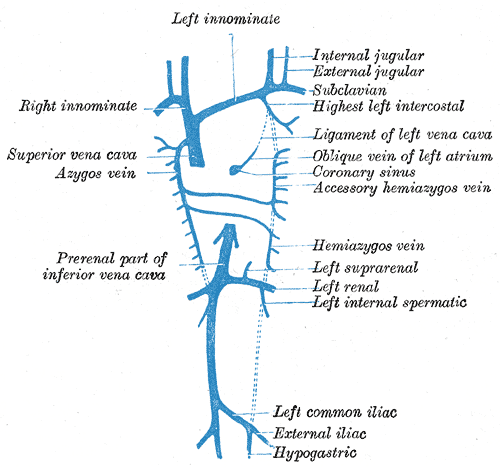 Fig. 480