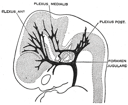 Fig. 483