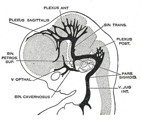 Fig. 484