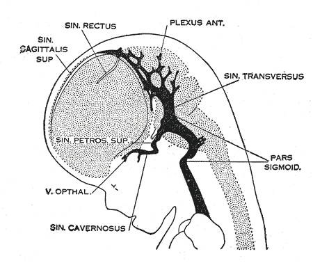 Fig. 485