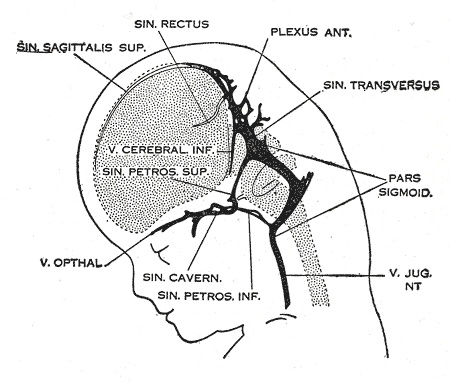 Fig. 486