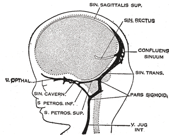 Fig. 487
