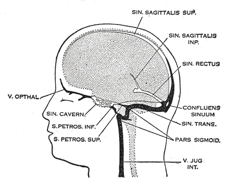 Fig. 488