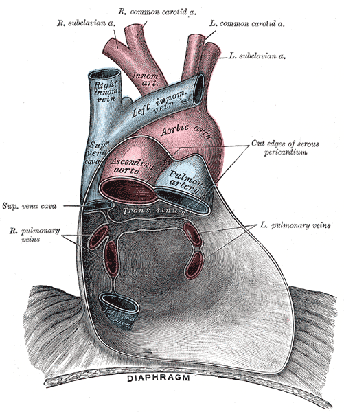 Fig. 489