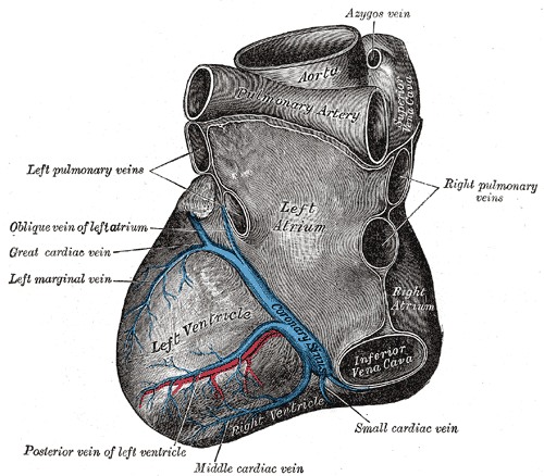 Fig. 491