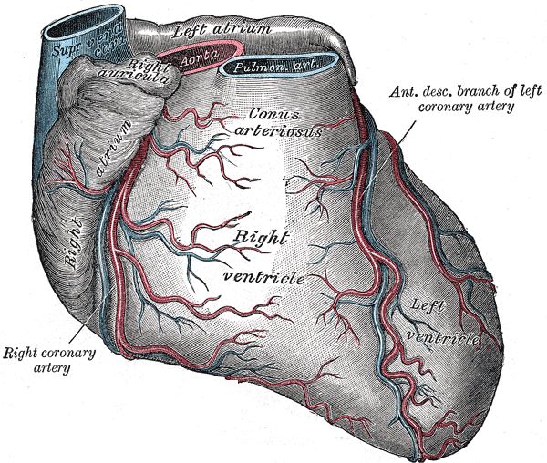 Fig. 492