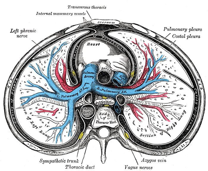 Fig. 503