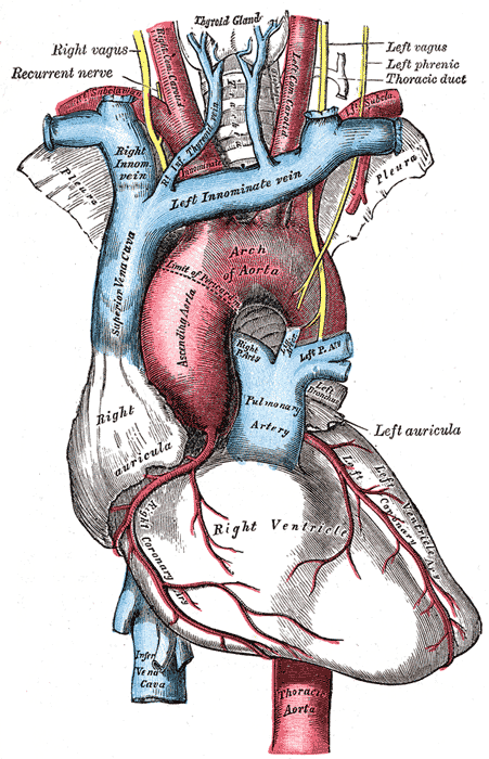 Fig. 505