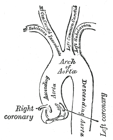 Fig. 506