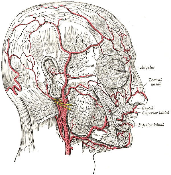 Fig. 508