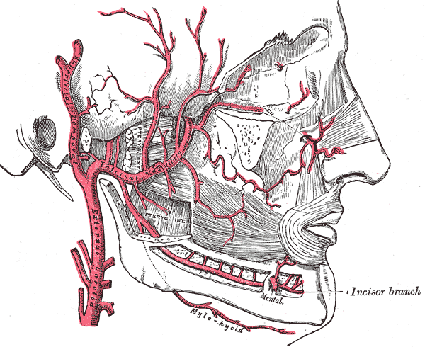 Fig. 510