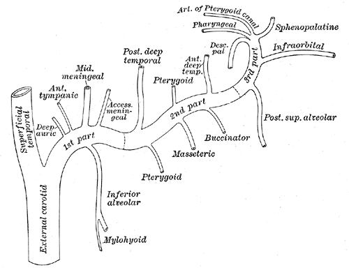 Fig. 511