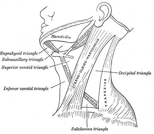 Fig. 512