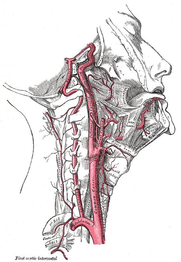 Fig. 513