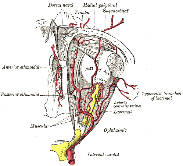 Fig. 514