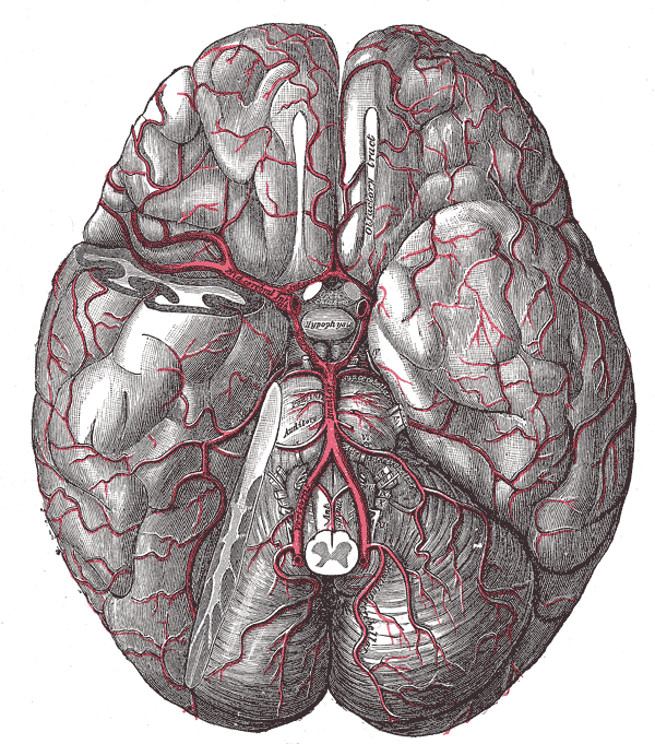 Fig. 516