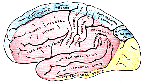 Fig. 517