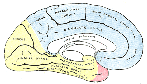 Fig. 518