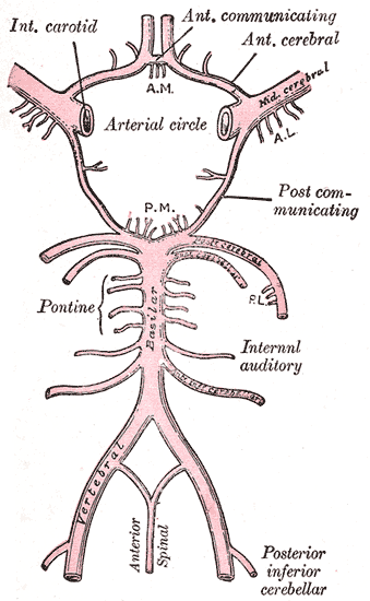Fig. 519