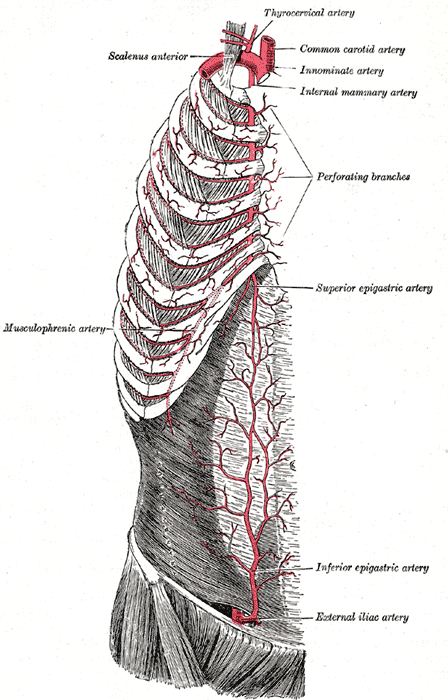 Fig. 522
