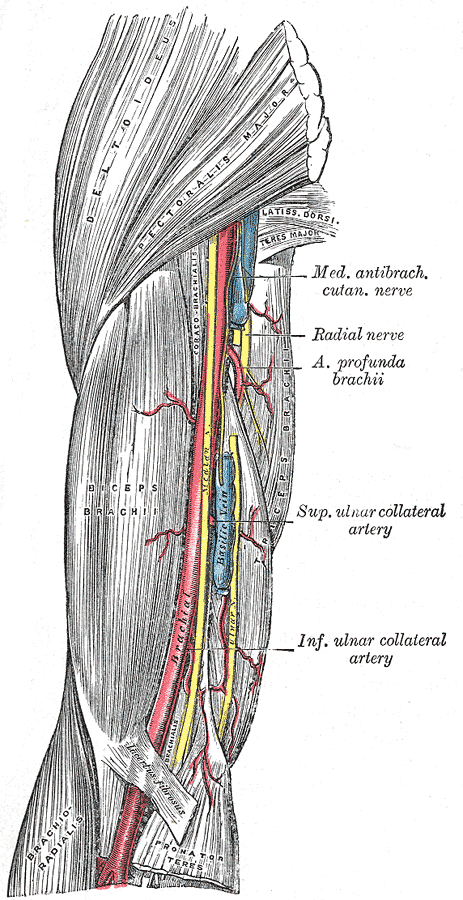 Fig. 525