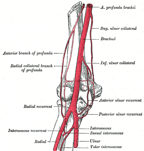 Fig. 526