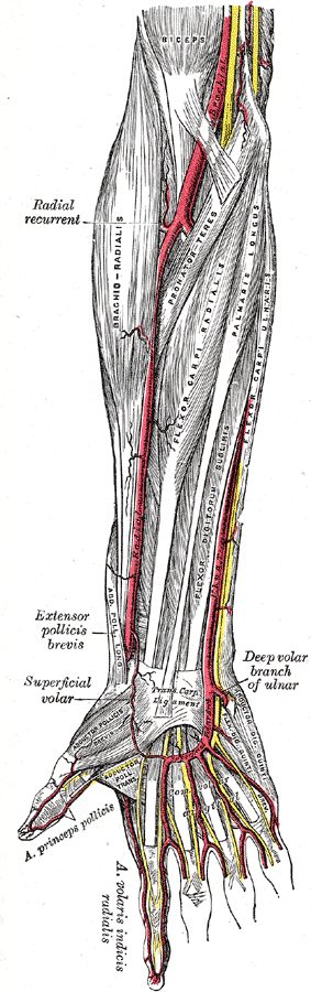 Fig. 527