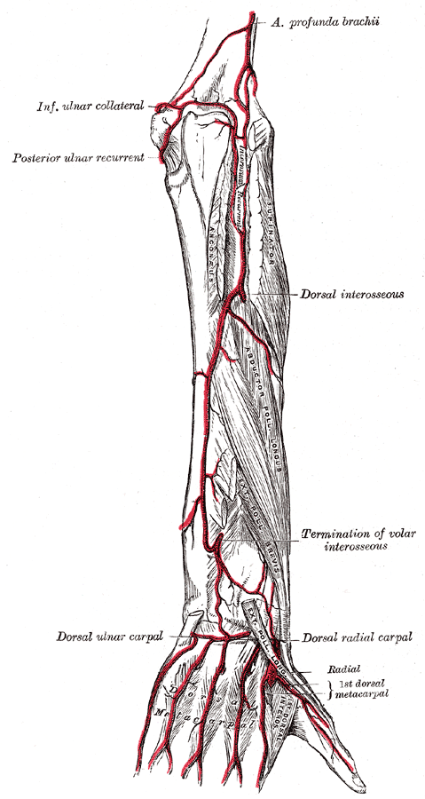 Fig. 529