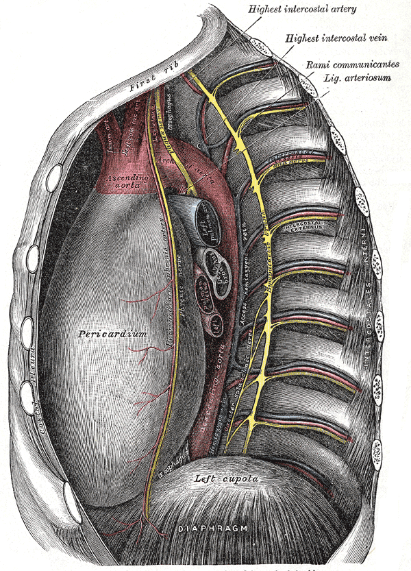 Fig. 530