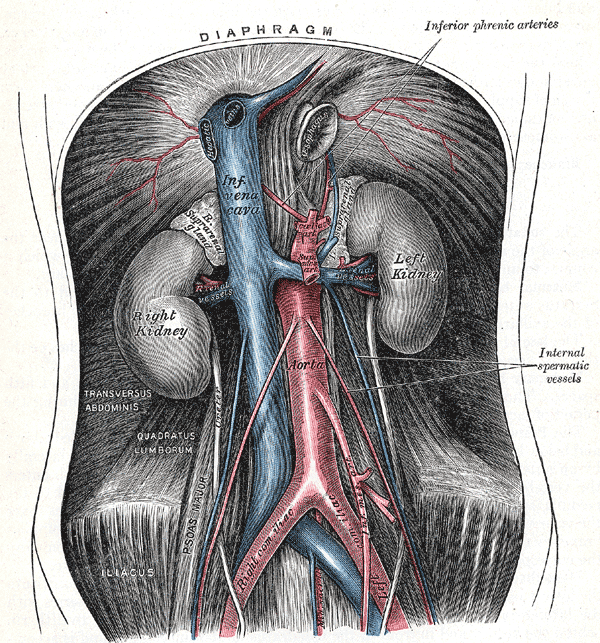 Fig. 531