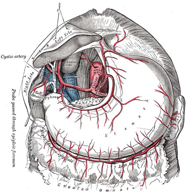 Fig. 532