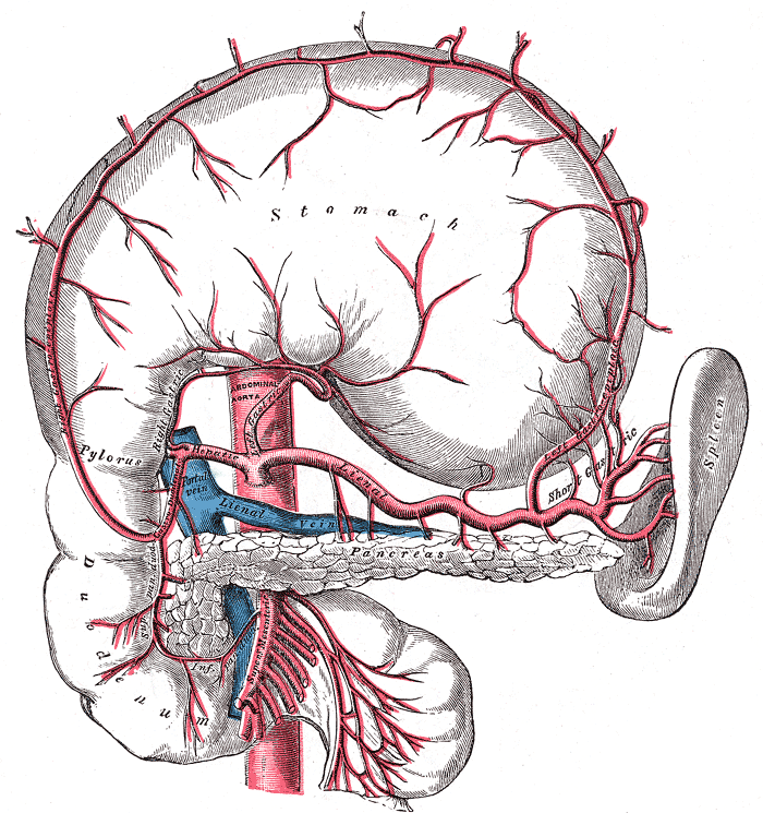 Fig. 533