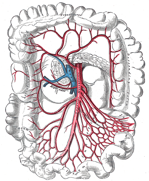 Fig. 534