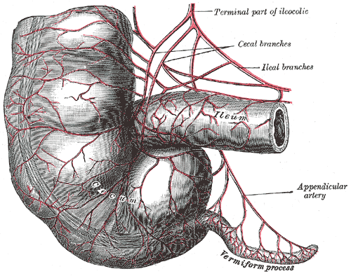 Fig. 536