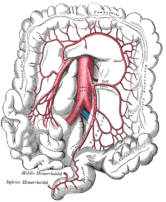 Fig. 537