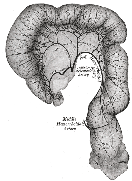 Fig. 538
