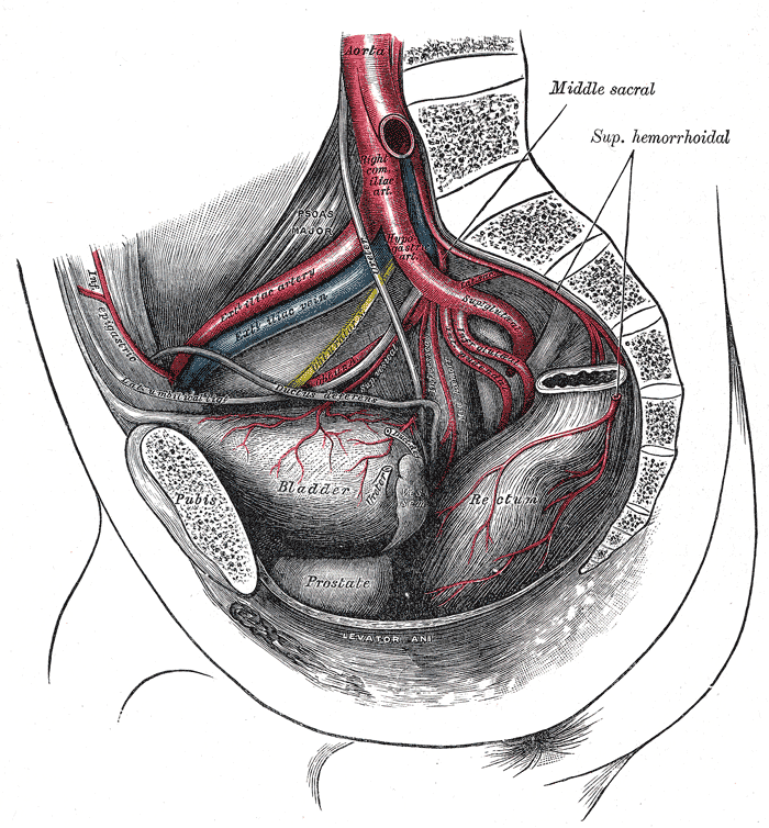 Fig. 539