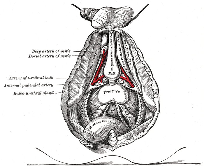 Fig. 543