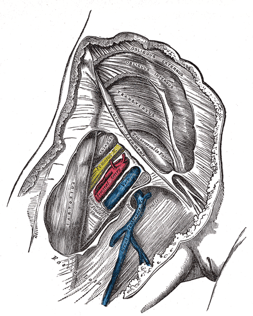 Fig. 545