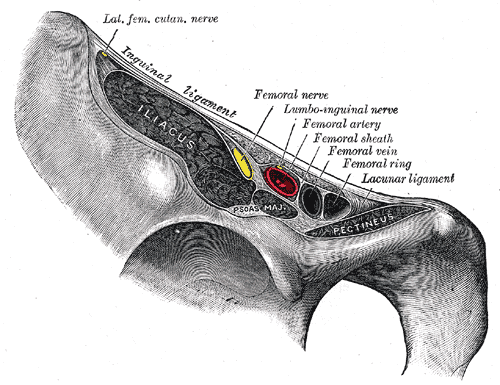 Fig. 546
