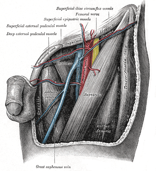 Fig. 549