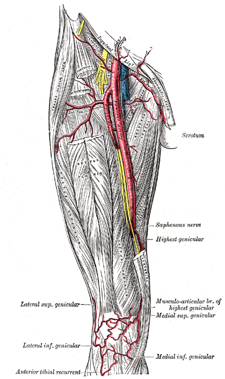 Fig. 550